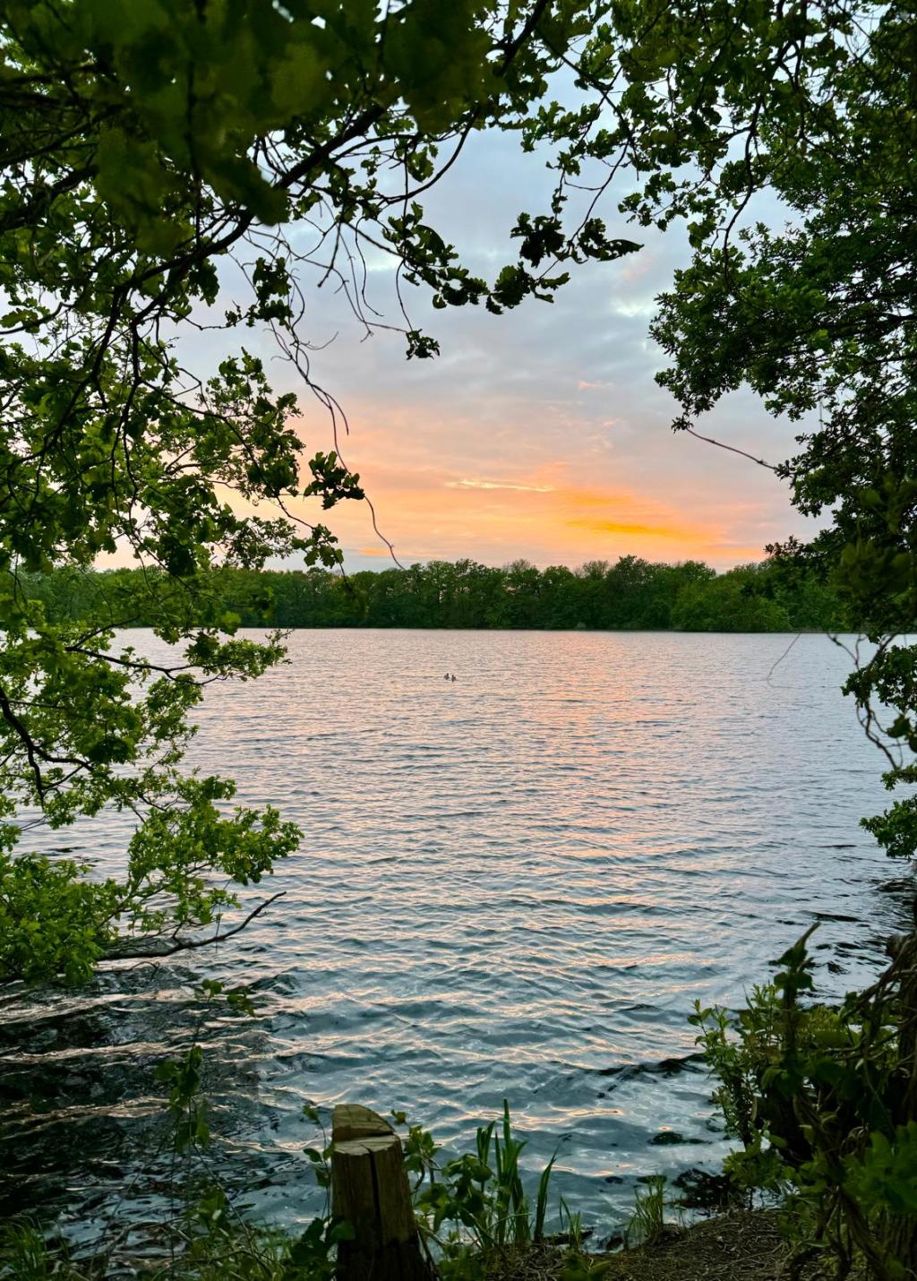 Naturkundliche Radtour mit der&nbsp;Rangerin