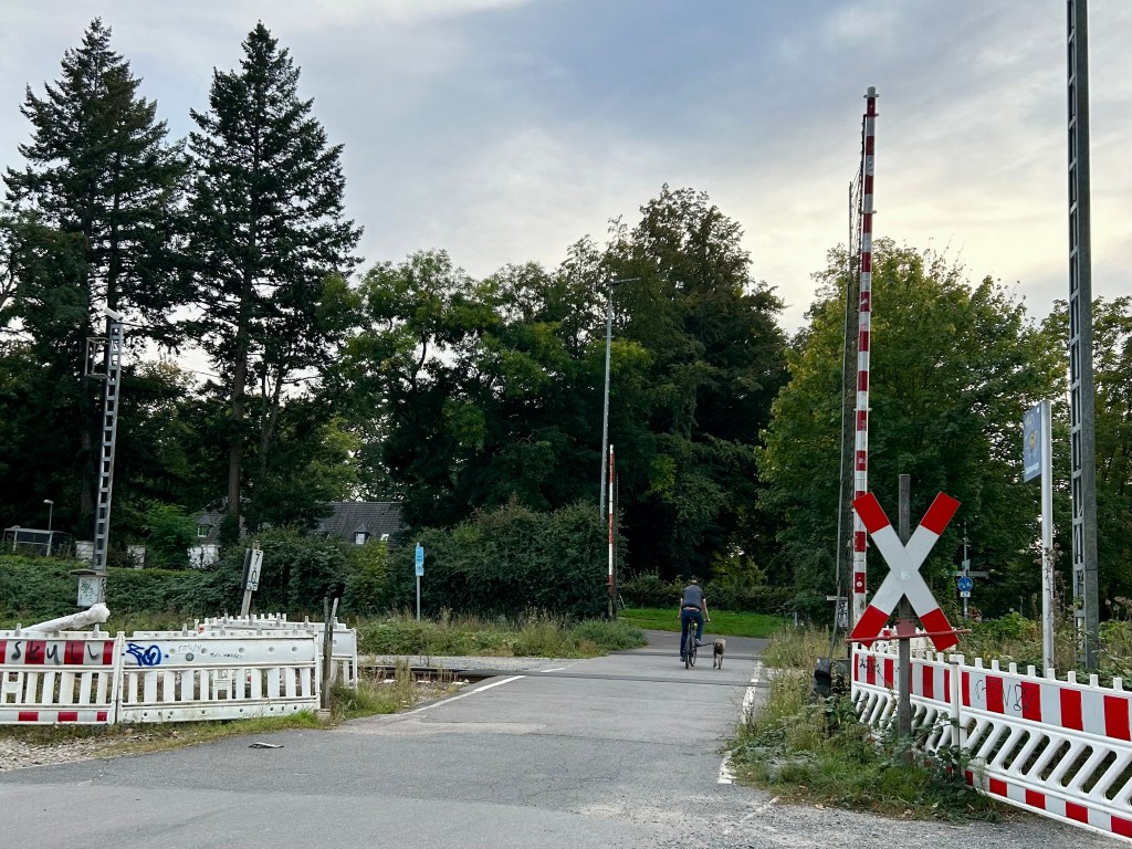 Bürgerbegehren zur Grünewaldstraße startet am 29. Juni&nbsp;2024