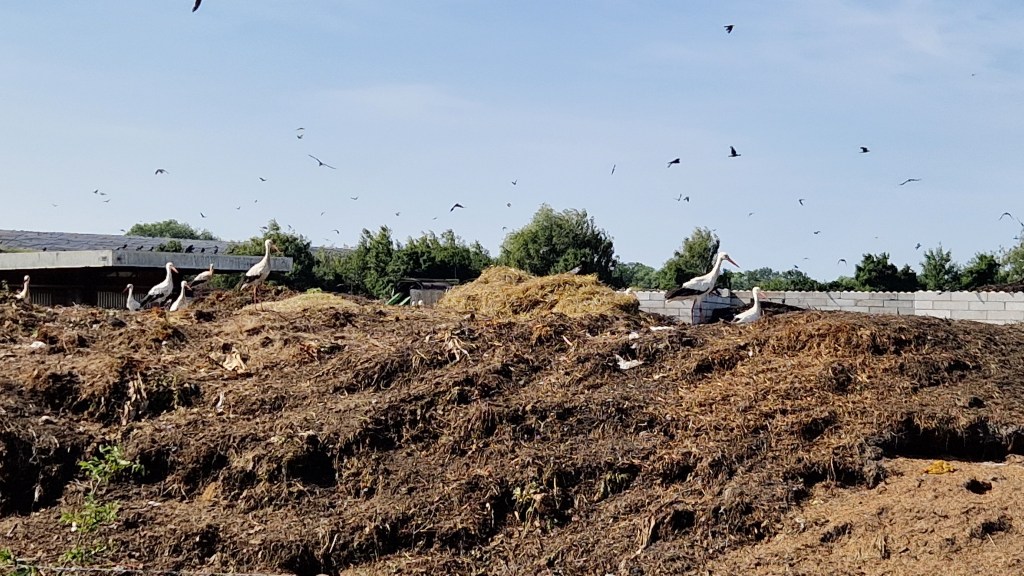 Heimatpflegertreffen Juni 2025-Besichtigung der&nbsp;Rieselfelder