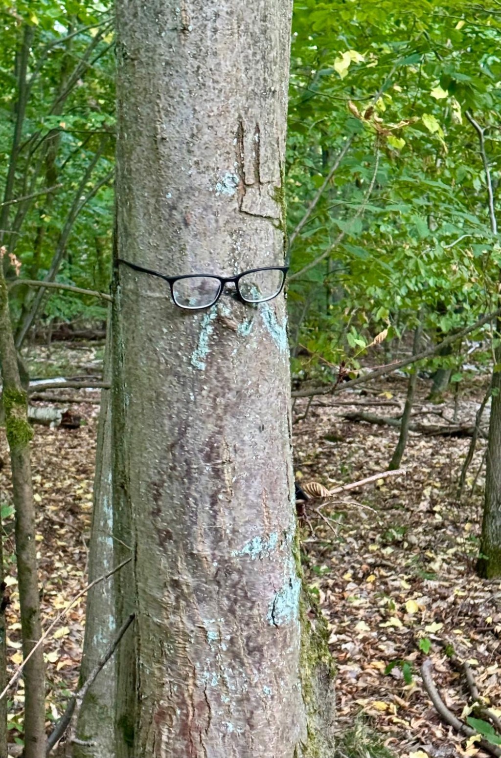 Nachwanderung am 31.08.2025-eine&nbsp;Bildergalerie