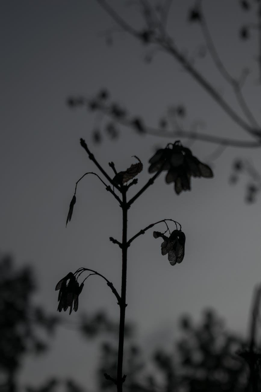 CDU Braunschweig trauert: Christine Piefke&nbsp;verstorben